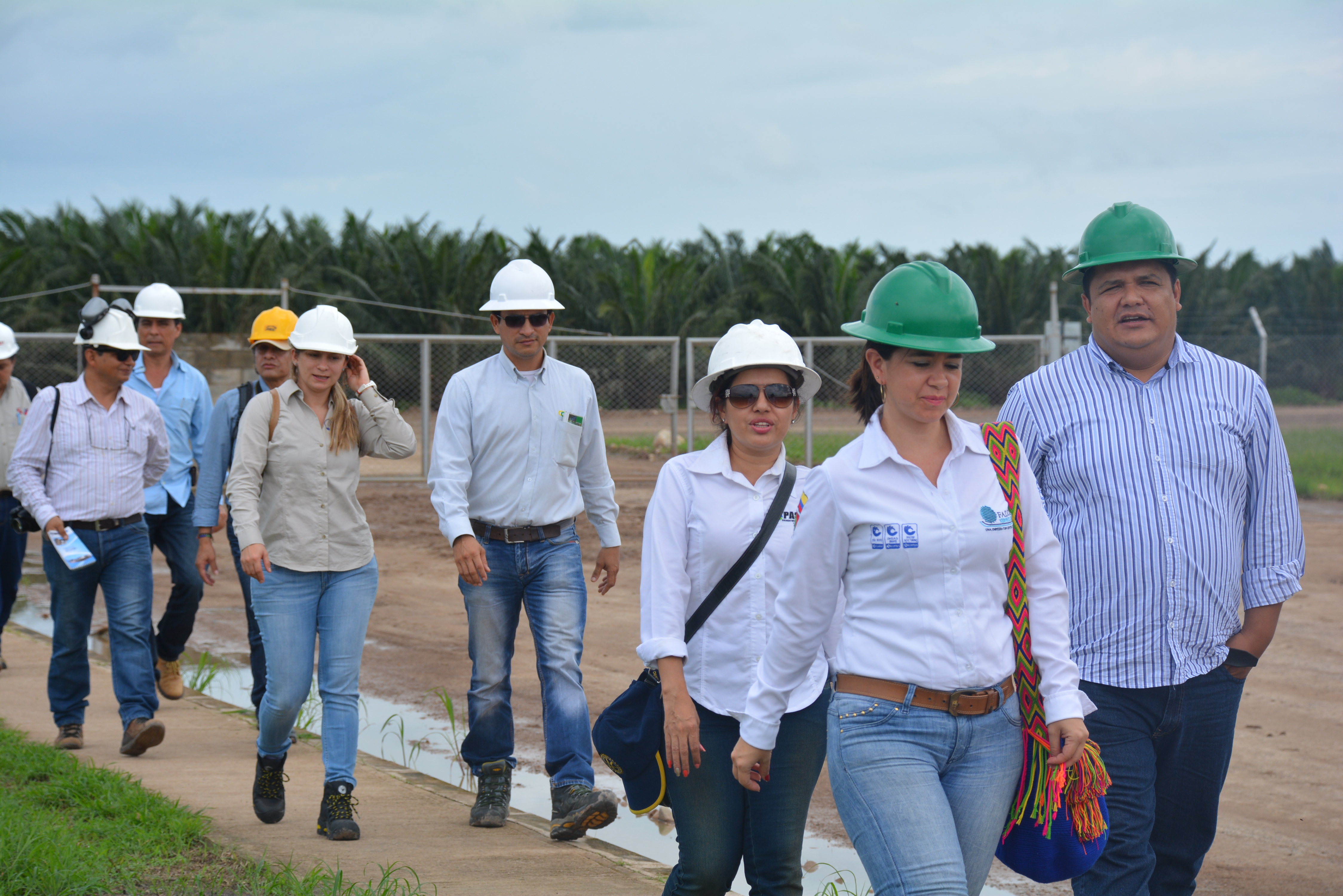 diversificando mercados
